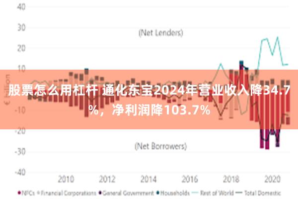 股票怎么用杠杆 通化东宝2024年营业收入降34.7%，净利润降103.7%