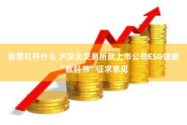 股票杠杆什么 沪深北交易所就上市公司ESG信披“教科书”征求意见