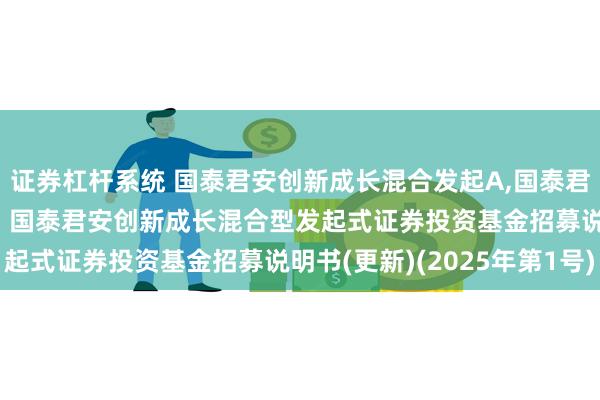 证券杠杆系统 国泰君安创新成长混合发起A,国泰君安创新成长混合发起C: 国泰君安创新成长混合型发起式证券投资基金招募说明书(更新)(2025年第1号)